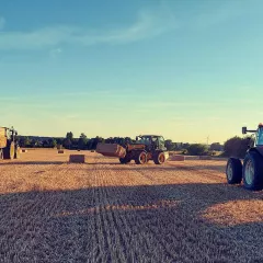 La Moisson des Escourgeons 2024 : Un Défi Face aux Intempéries