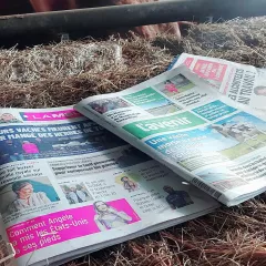 Stop aux Herbes de Tonte : Une Triste Réalité et un Appel à la Sensibilisation