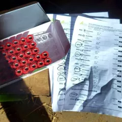 Prise de Sang pour la Santé de nos Bovins