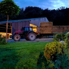 Paille d'escourgeons 2024 🌾 : Défis météorologiques et engagement local en circuit court