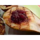 Poire aux airelles 4pce