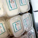 Tiramisu Anso