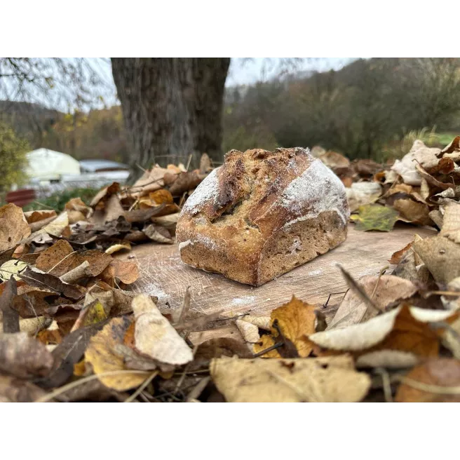 Pain au blé ancien 600gr