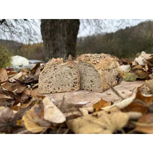 Pain froment aux graines