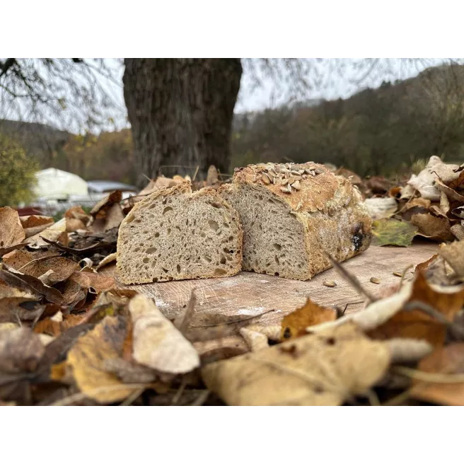 Pain froment aux graines